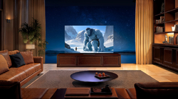 98" TCL 98C8K