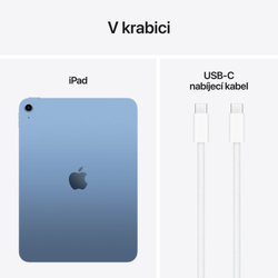 Apple iPad A16 11" WiFi 512GB Blue