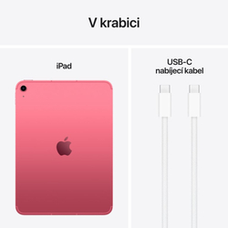 Apple iPad A16 11" WiFi + Cellular 256GB Pink
