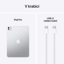 Apple iPad Pro M4 2024 11" Wi-Fi + Cellular 2TB Silver (MVW83HC/A)