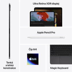 Apple iPad Pro M4 2024 13" Wi-Fi 1TB Space Black (MVX63HC/A)