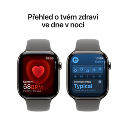 Apple Watch Series 10 GPS + Cellular 42mm Natural Titanium Case with Stone Grey Sport Band - M/L (MWXE3QC/A)
