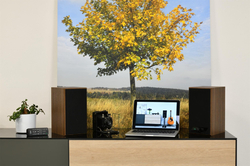 AQ M25 multimedia - ořech