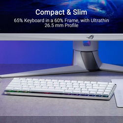 ASUS ROG Falchion RX Low profile (ROG NX Snow), US