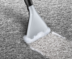 Bosch BWD421PRO