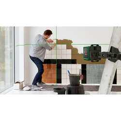 Bosch Quigo Plus (0.603.663.6Z0)