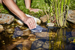 CF Aqua patch