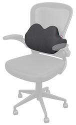 CONNECT IT FOR HEALTH BetaPro Anatomická bederní opěrka na židli, ŠEDÁ