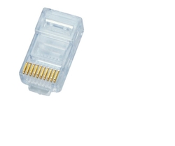 DATACOM Plug UTP CAT5E 10p10c- RJ50 lanko 