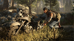 Days Gone (PS4)