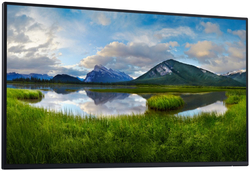 DELL P2725H (210-BMGD) - BEZ STOJANU