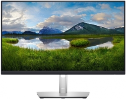 DELL Professional P2423DE (210-BDDW)