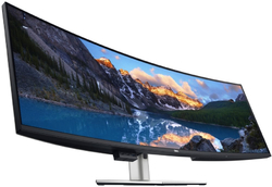 DELL UltraSharp U4924DW 49" (210-BGTX)