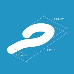 Dreamolino SwanPillow