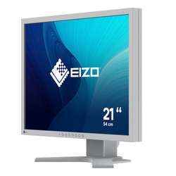 EIZO S2134-GY 21,3˝