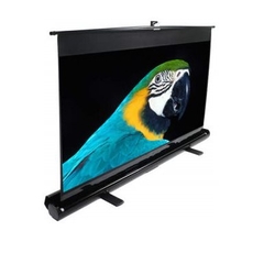 ELITE SCREENS ezCinema Series F60NWV