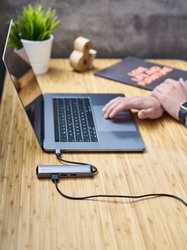 Epico USB-C HUB SLIM (4K HDMI & Ethernet) - silver, black cable