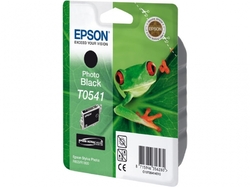 Epson T0541 Photo Black 13ml pro Stylus Photo R800/R1800 - originální