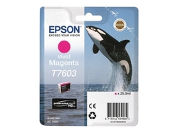 Epson T7603 Vivid Magenta, jasná purpurová - originální