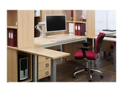 Ergotron HX Desk Mount Monitor Arm