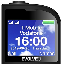 EVOLVEO EasyPhone FL černý