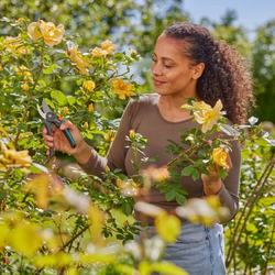 Gardena 12242-20 Zahradní nůžky PremiumCut Flex