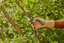 Gardena 12251-20 Zahradní nůžky PremiumCut Pro na čerstvé dřevo