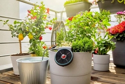 Gardena 13300-20 solární zavlažování Aqua Bloom - sada