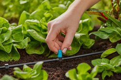 Gardena 13316-20 MDS Tryska řadová maloplošná rozprašovací