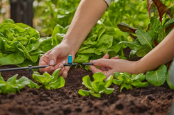 Gardena 13316-20 MDS Tryska řadová maloplošná rozprašovací