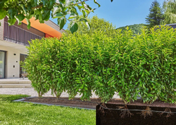 Gardena 13501-20 MDS Startovní Set pro živé ploty/keře 50 m