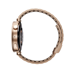 Garett Smartwatch ROSE zlatá, Solid steel