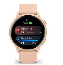 Garmin vivoactive 6 Metallic Pink Dawn / řemínek Pink Dawn