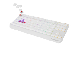 Genesis Thor 230 TKL, bílá, US