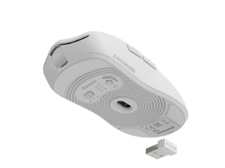 Genesis ZIRCON 500 Bílá