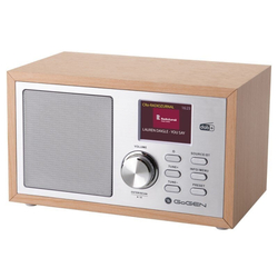 GoGEN DAB 620 BTCS, hnědý/stříbrný