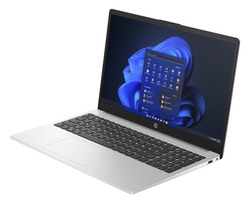 HP 250 G10 (B39TSAT)