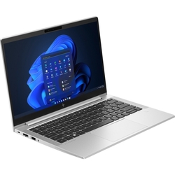 HP EliteBook 630 G10 (817X1EA)