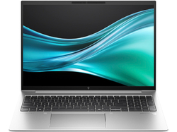 HP EliteBook 865 G11 (9G149ET)