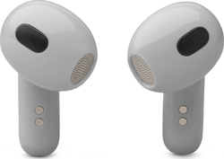 JBL Live Flex 3 Silver