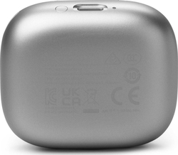 JBL Live Flex 3 Silver
