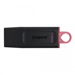 Kingston DataTraveler Exodia 256GB