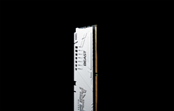 Kingston Fury Beast White DIMM DDR5 16GB 6000MHz CL36 bílá AMD EXPO