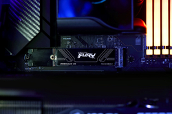 Kingston SSD Fury Renegade G5 1TB NVMe
