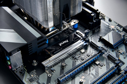 Kingston SSD Fury Renegade G5 2TB NVMe