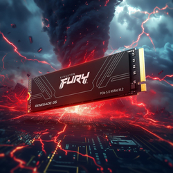 Kingston SSD Fury Renegade G5 4TB NVMe