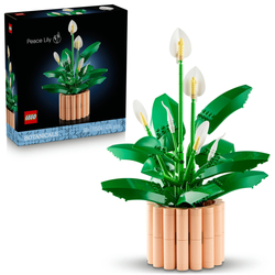 LEGO Botanicals Lopatkovec 11504