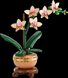 LEGO Botanicals Miniaturní orchidej 10343