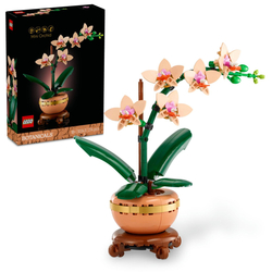 LEGO Botanicals Miniaturní orchidej 10343