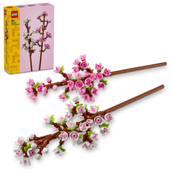 LEGO Botanicals Třešňové květy 40725